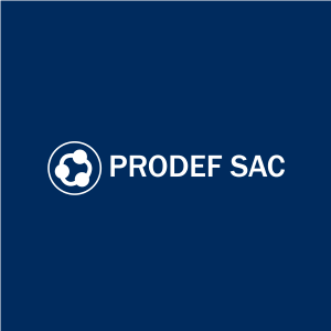 sise_proyectodesarrolloempresarialyfinancierosac