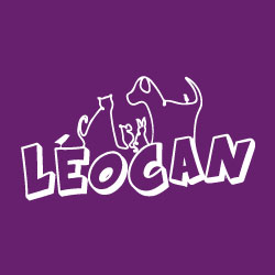 ub_leocansas