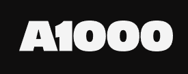 ucaecono_fundacina1000