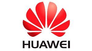 ucaecono_huaweitechinvestmentcoltd