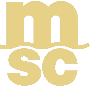ucaecono_mediterraneanshippingcompanysa