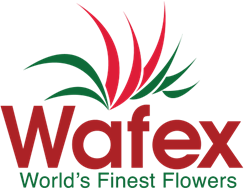 uide_wafexsouthamerica