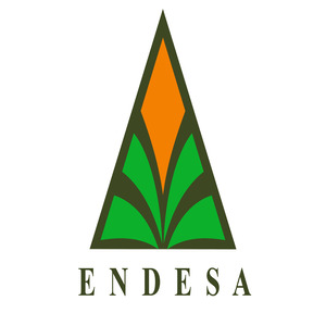uide_enchapesdecorativossaendesa