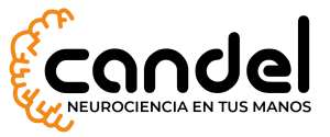 umayor_candelmedicalcompany