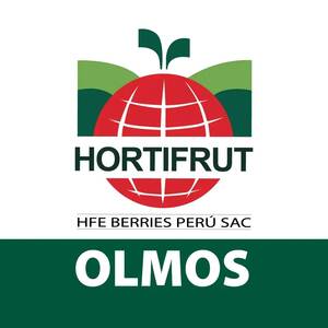 usat_hfeberriesperusac