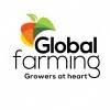 GLOBAL FARMING PERU GROUP SOCIEDAD COMERCIAL DE RESPONSABILIDAD LIMITADA Logo