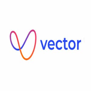 VECTOR SOFTWARE FACTORY Logo