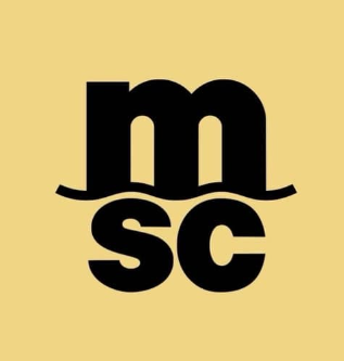 mediterraneanshippingcompanydelpersac